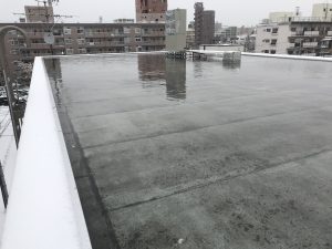 屋上にたっぷりの雨水が・・・