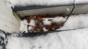 ドレンに詰まった落ち葉