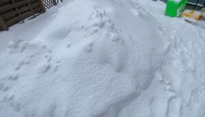 この2日間の雪を雪はねし山になった状態