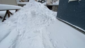 移動後の雪山。背丈を超えている
