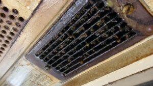 ライト部分にも油でギトギト