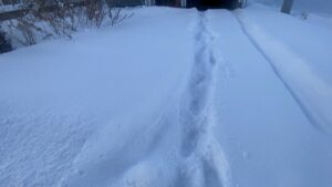 駐車場の除雪。湿った雪で重労働