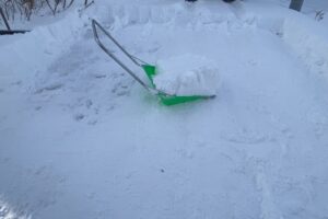 スノーダンプを使用して除雪作業をする様子