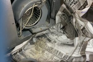 ストーブ背面の送風ファンに溜まった埃を掃除している様子