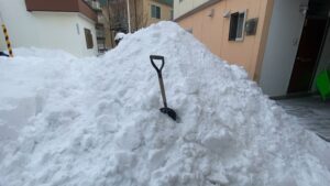 屋根の雪をおろし終わった雪山の様子