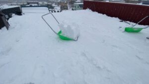 金属スコップで雪を四角くカットしてから運ぶ様子