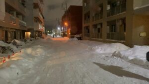 深夜の広範囲な捜索現場の様子。街灯の明かりを頼りに進める。