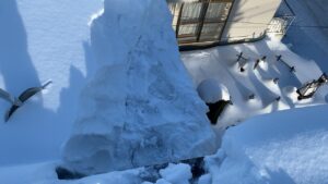 屋上から身を乗り出し、下屋の雪庇をスコップで崩す決死の作業