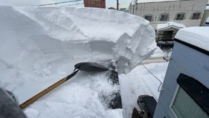 スコップを差し込み、雪庇を少しずつ慎重に解体している作業中の様子