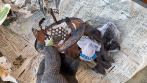 熱で焼け落ち、形が崩れてしまった燃焼リングの写真