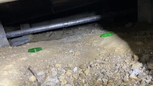 床下に設置した毒餌の様子