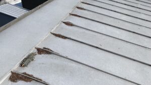 屋根の端に大量に詰まった落ち葉