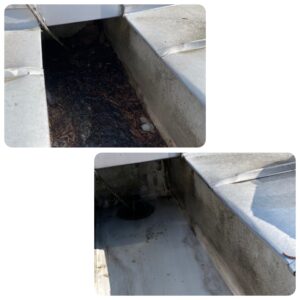 排水ドレンのビフォーアフター比較