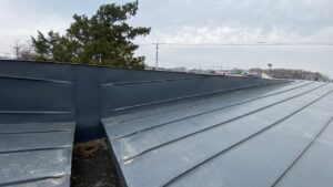 屋根の隣にそびえ立つ大きな木