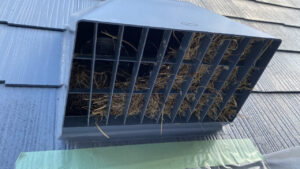 作業前の換気フード。網の上に枯葉が見える