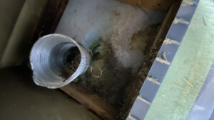 換気フードの奥、アルミダクト内に詰まった巣