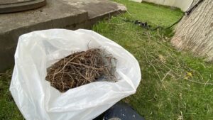 袋に詰め込んだカラスの巣