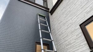 ハシゴを立てかけて高所のドロバチの巣へアプローチする便利屋七道