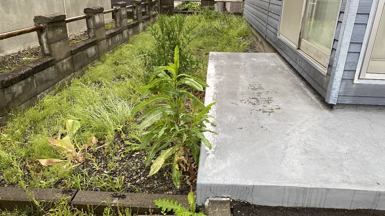 作業前の札幌市北区のお庭。一面に緑の雑草が生い茂り、砂利がほぼ見えなくなっているビフォー写真
