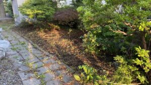 作業完了後のお庭の様子。敷地周りに生い茂っていた雑草が地面ギリギリできれいに刈り取られ、すっきりとした空間が広がっている
