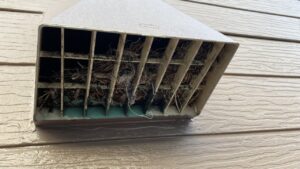 キッチンの換気フードのアップ写真。下側の網目がかなり荒く、その隙間から草や小枝などの巣の材料が大量に覗いているのが見える