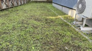 草刈り作業が完了し、見違えるほどすっきりと短く整えられたお庭の全体写真。右側にはエアコンの室外機が見える
