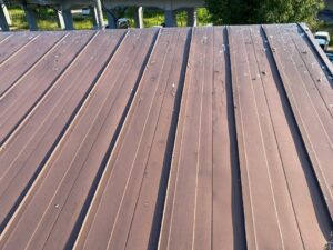 トタン（板金）屋根の表面に、白い液状のものや固形化した大量の鳩の糞が広範囲にこびりついて汚れている写真