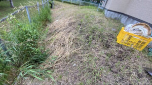 作業前の草刈りをした後の斜面の写真です。ここで草刈りをしていて蜂の巣を発見しました。