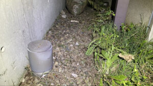境界線に従ってお客様の敷地側のみ草抜きを終えた状態