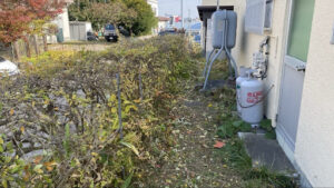 伸び切った上部の枝葉が綺麗にカットされて低く整った作業後の生垣
