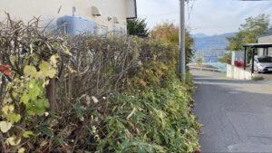 高所作業用の脚立を使用して高い位置まで綺麗に仕上がった全体の様子